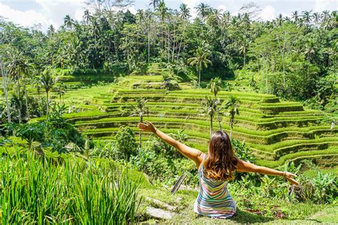 Tegalalang Rice Terraces Bali {The Ubud Rice Fields You'll.